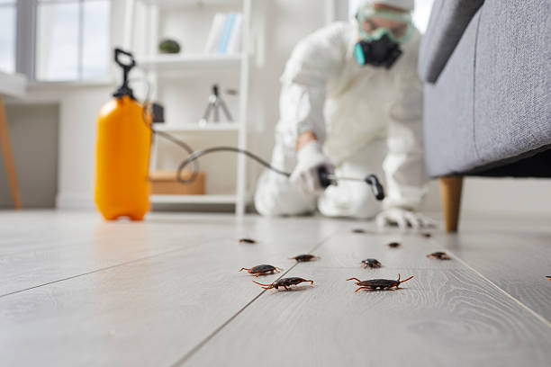 Commercial Kitchen Cockroach Control in Breezy Point